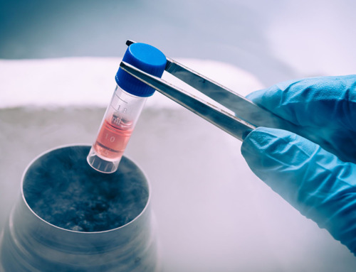 En stamcelletransplantation kan være helbredende, men ofte til en høj pris